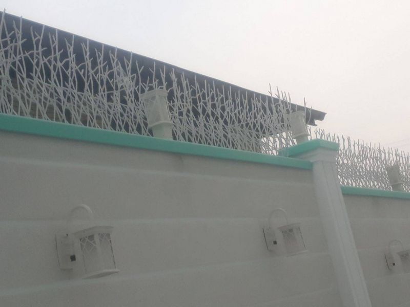 حفاظ شاخ گوزنی: نگاهی دقیق به امنیت منازل در دنیای مدرن